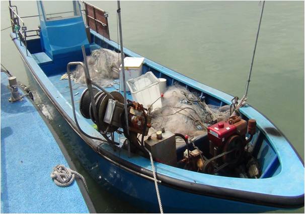 維護金門漁業資源 加強取締大陸快艇