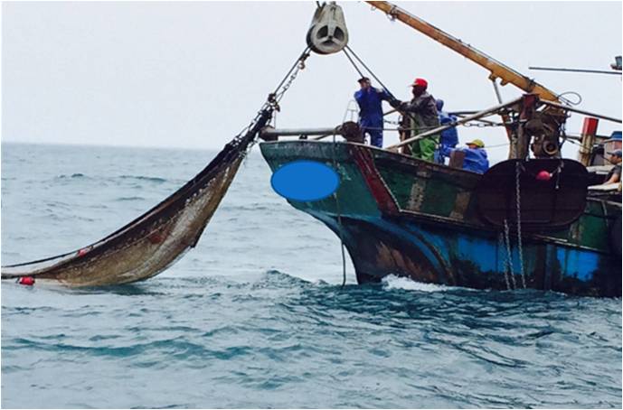 違規捕魚勤取締 漁業資源免枯竭