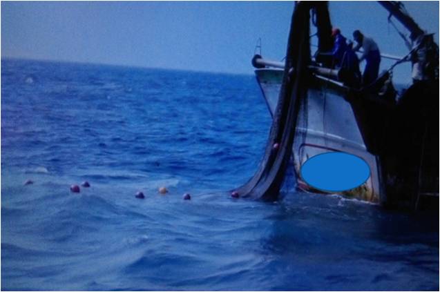 拖網漁船毀生態 海巡執法不輕放