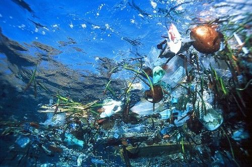 海洋污染：人為排放污染
