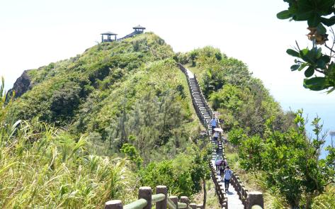 綠島生態簡介