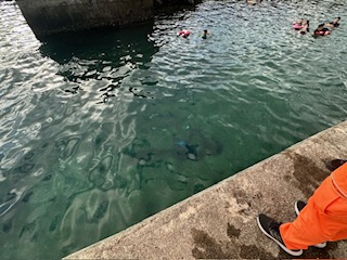 綠島中寮機車落海 海巡疾馳救援上岸
