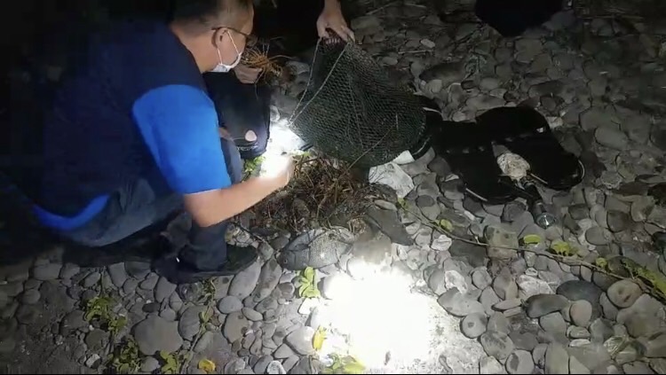 富山保育區違規採捕，海巡當場緝獲函送