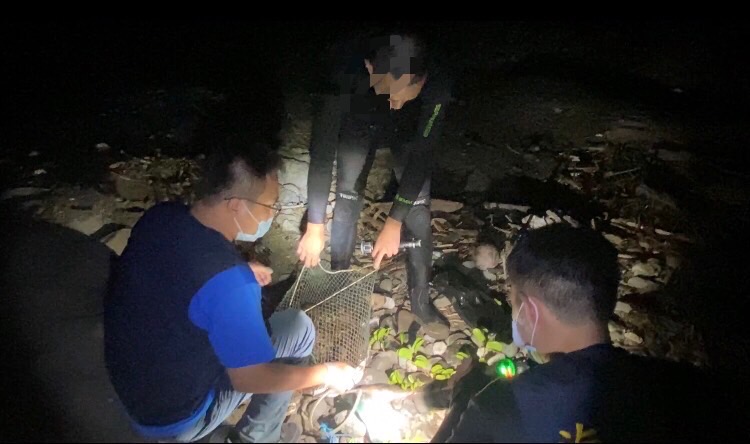 富山保育區違規採捕，海巡當場緝獲函送