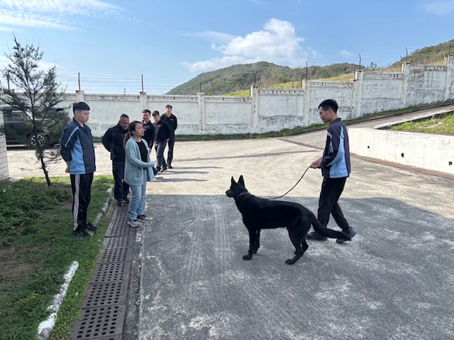 東部分署辦理偵搜犬醫療保健講習 強化犬隻照護與健康管理