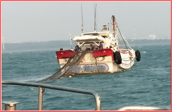近岸底拖破壞生態 新竹海巡鐵腕取締