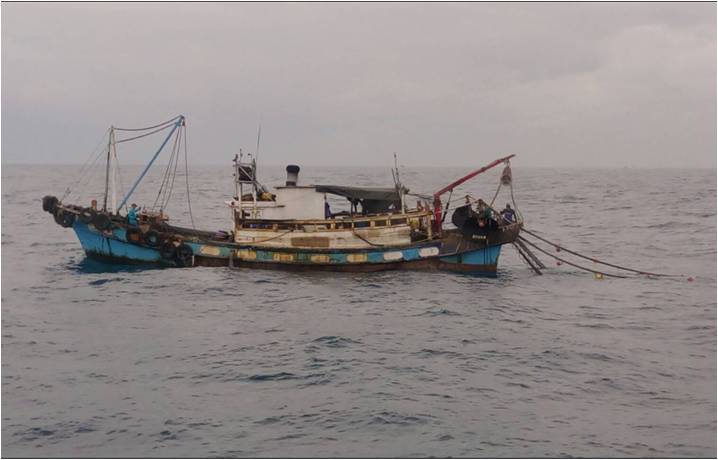 違規捕漁破壞生態   海巡取締保護資源