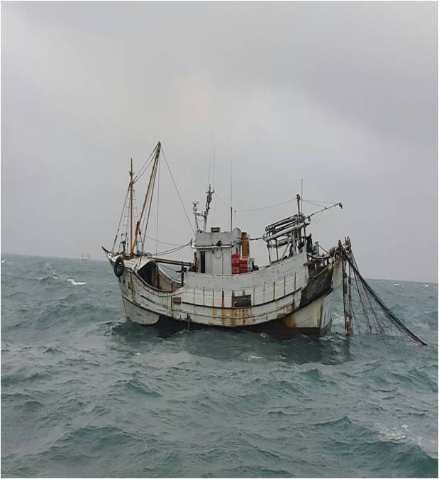 違規拖網壞生態  海巡取締護永續