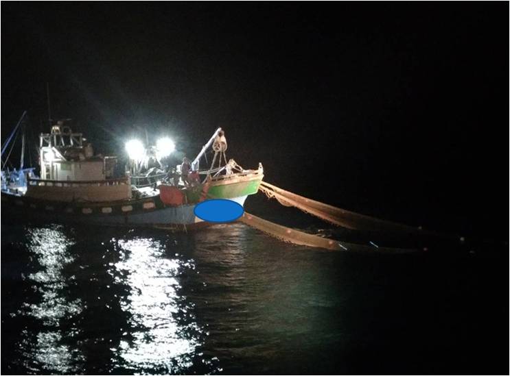 拖網漁船毀生態 海巡執法不輕放
