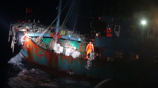 近噸不法漁獲海拋 台中海巡押回越界陸船3艘22人 近噸不法漁獲海拋 台中海巡押回越界陸船3艘22人