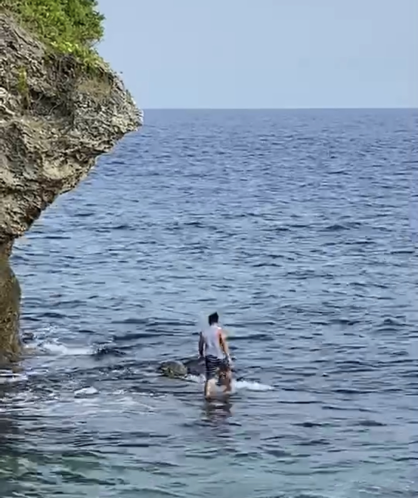 ãå¤ç±ç§»å·¥å¼·ãæ±ãæµ·é¾ï¼æµ·å·¡ç«éè¿½æ¥ã