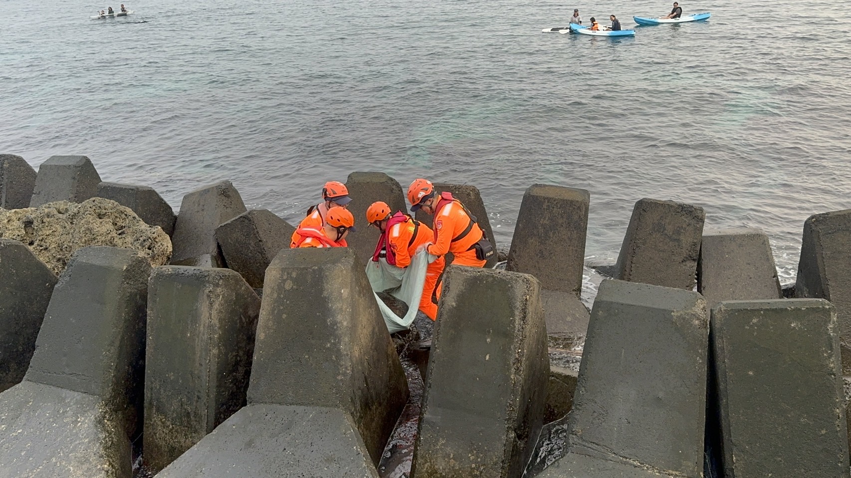 海龜受困岸際消波塊 海巡銳眼發現助脫困