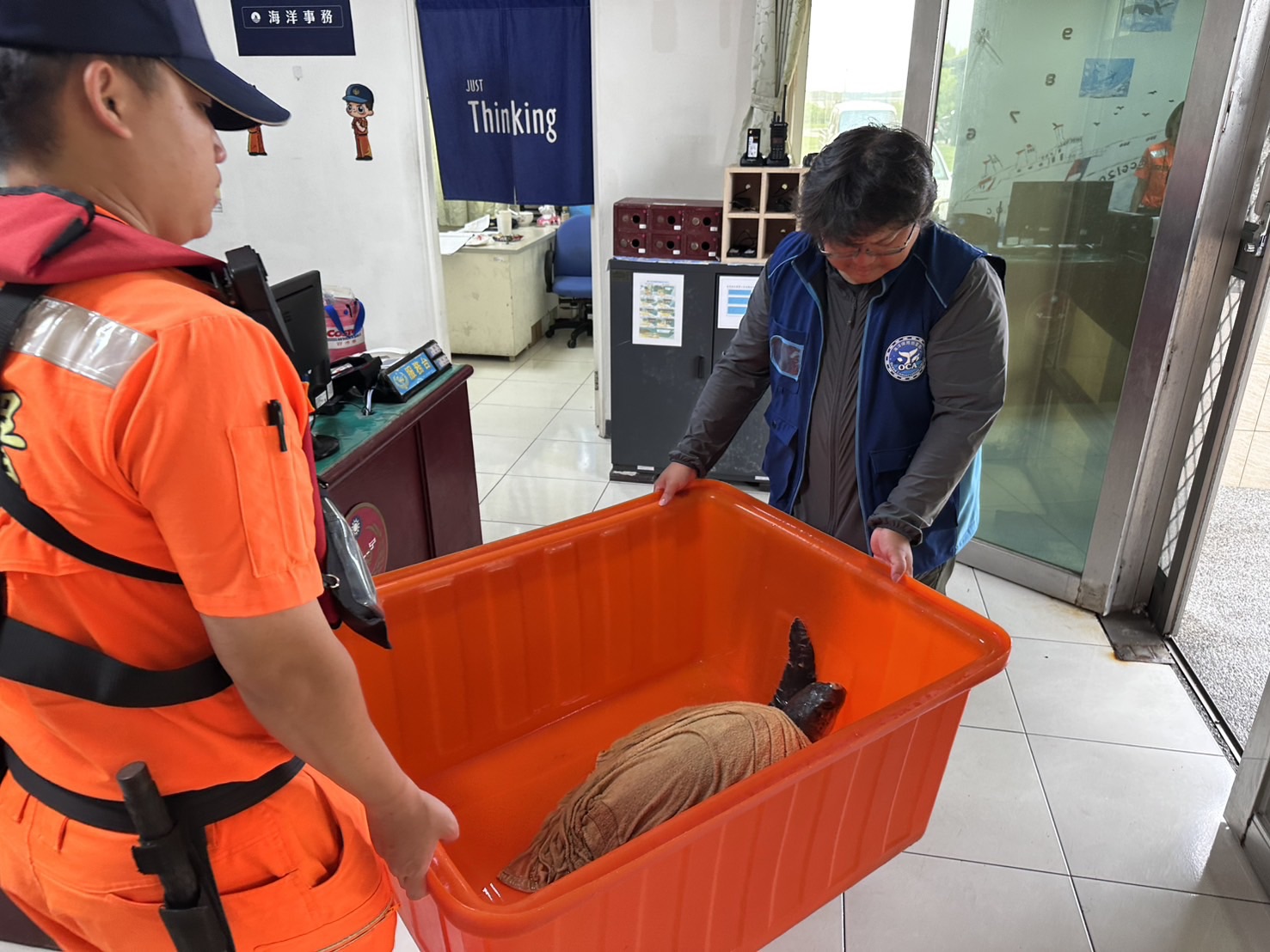 海龜急困廢網中 海巡火速馳援守護藍海生命