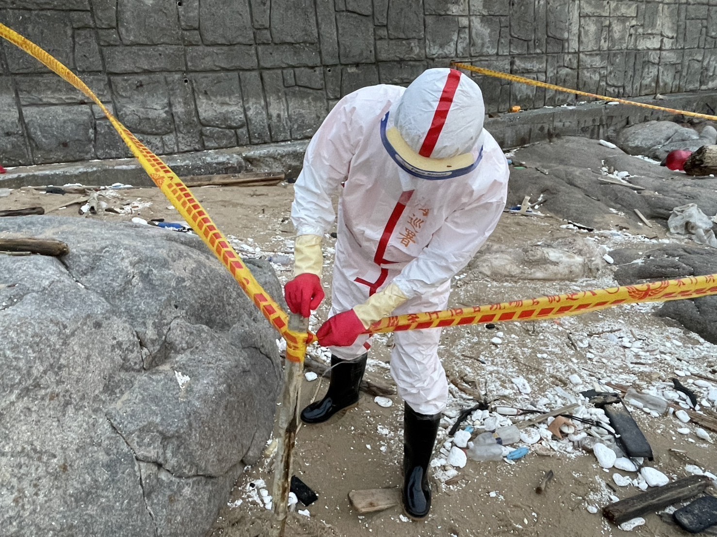 海巡署嚴守國門防疫總動員 連假前夕馬祖北竿發現海漂豬