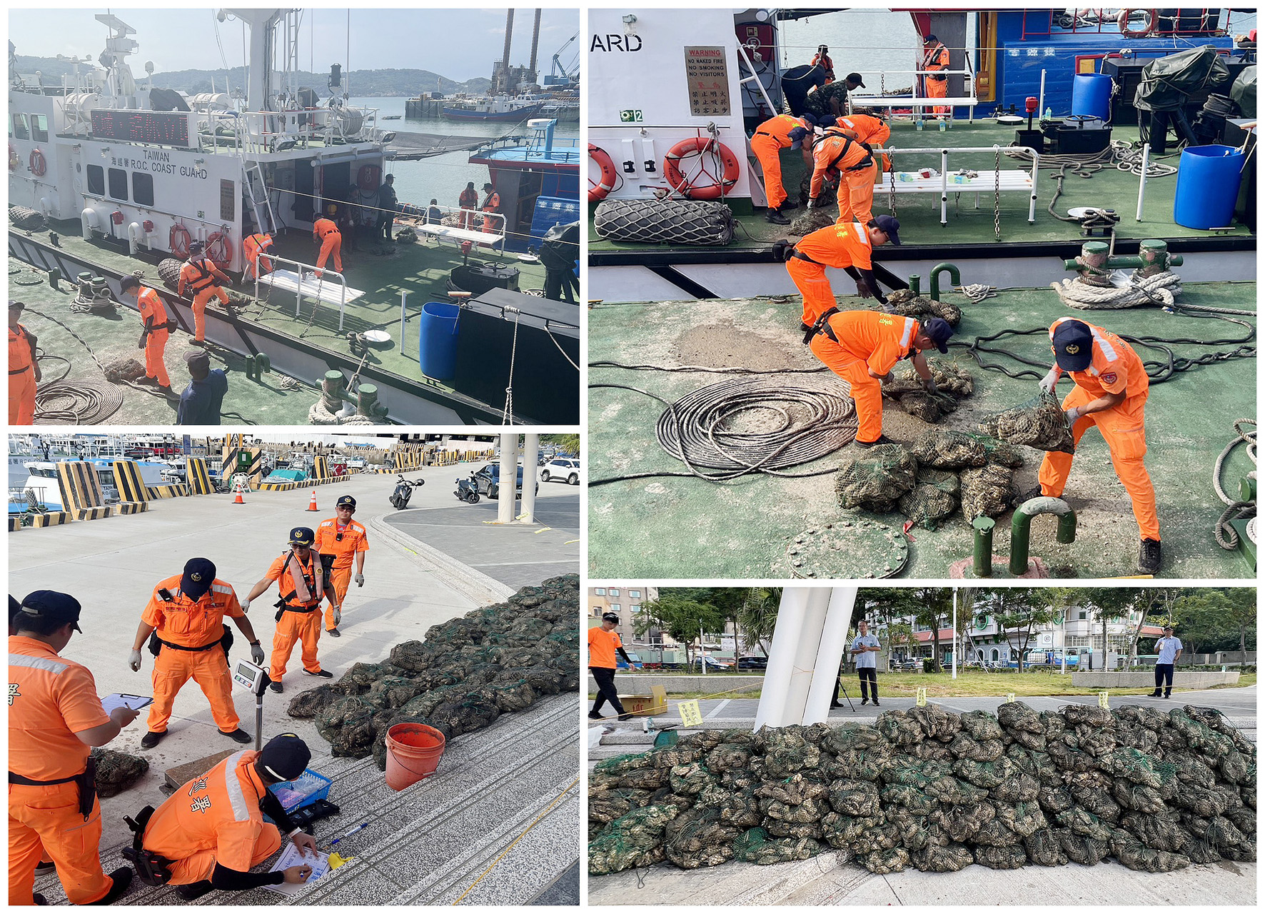 不肖業者走私牡蠣 海巡嚴查逾5公噸