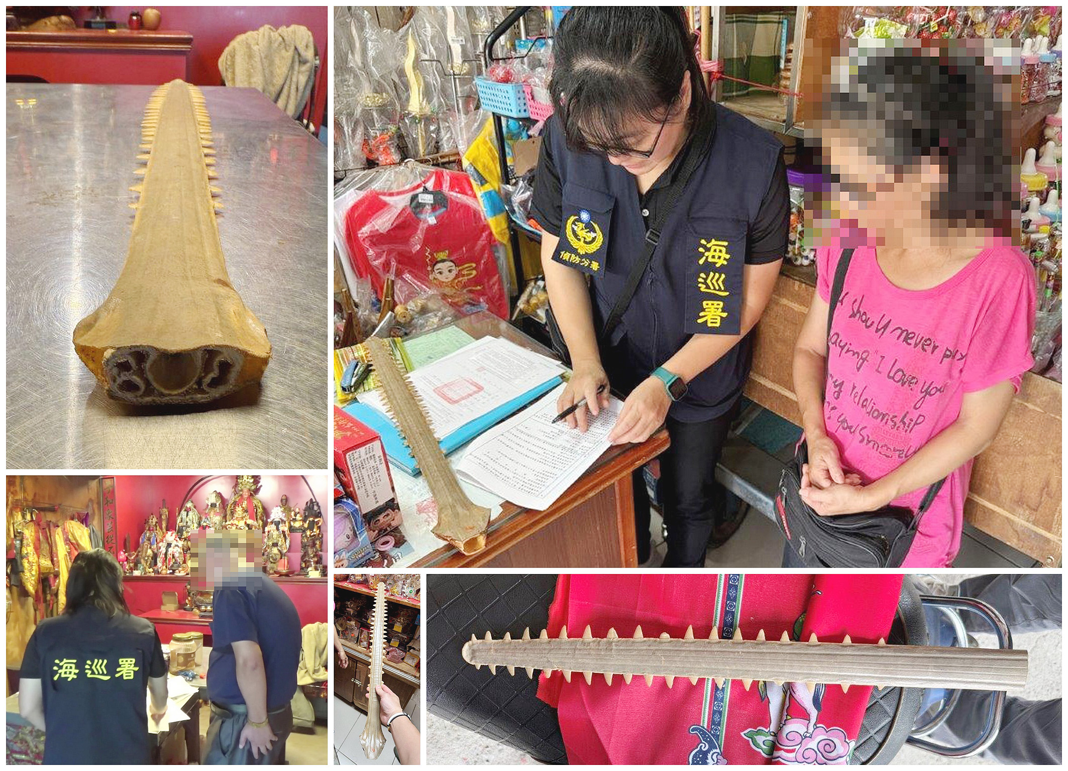 打擊非法販售鋸鰩之鼻 海巡攔查保育製品有成