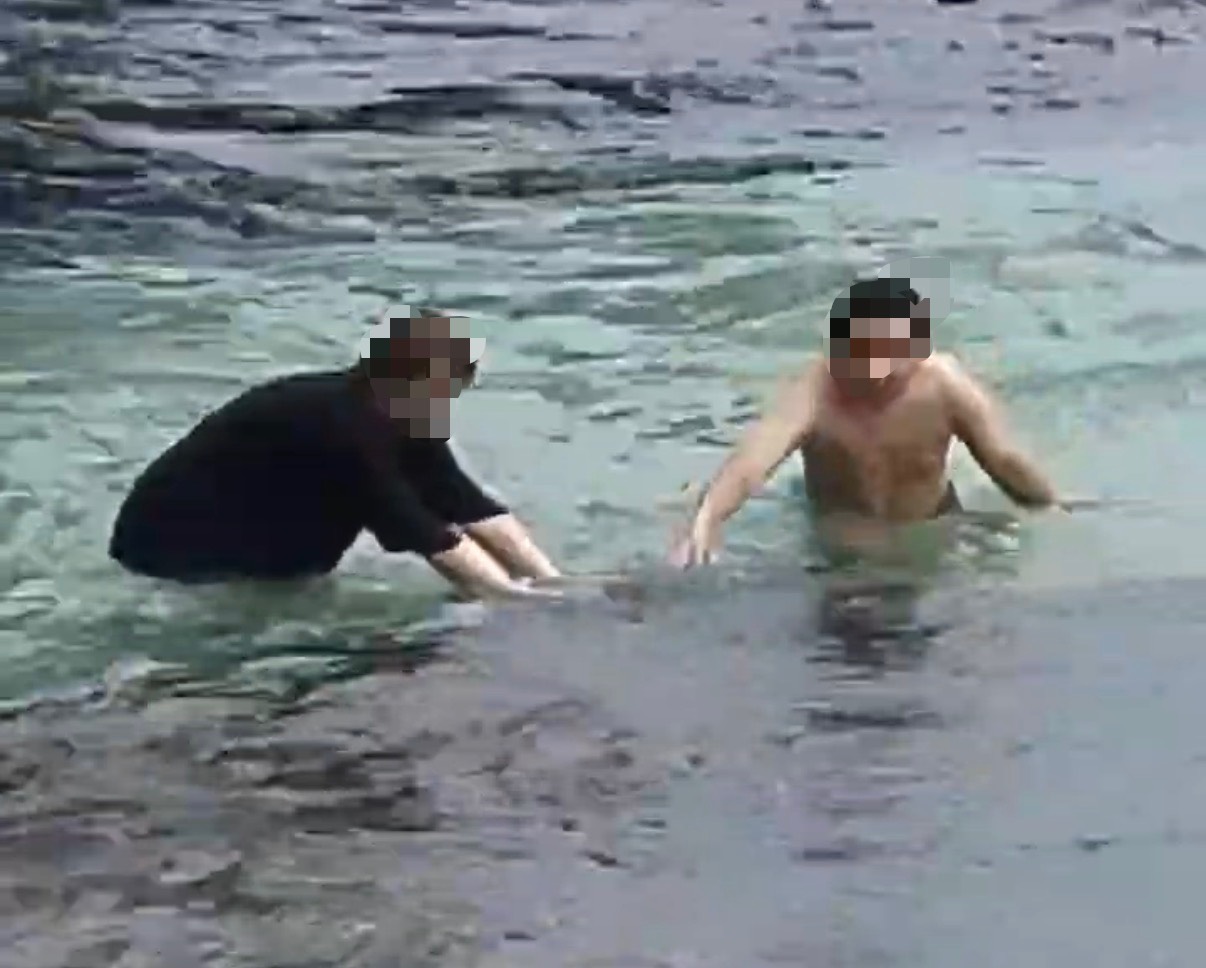 小琉球再傳遊客碰觸海龜　海巡依法嚴查送辦