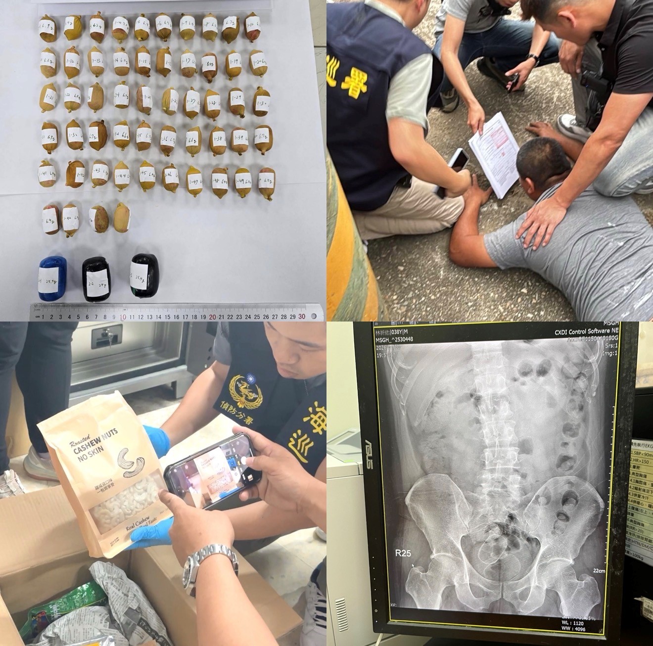 毒梟的「鴿子」會下蛋，海巡查緝整鍋端！